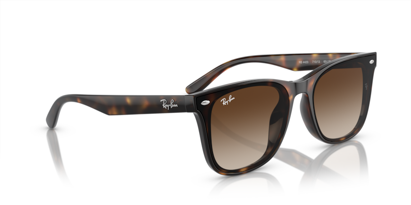 Ray-ban 4420 710/13 65-18 Güneş Gözlüğü