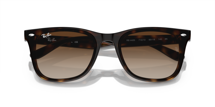 Ray-ban 4420 710/13 65-18 Güneş Gözlüğü