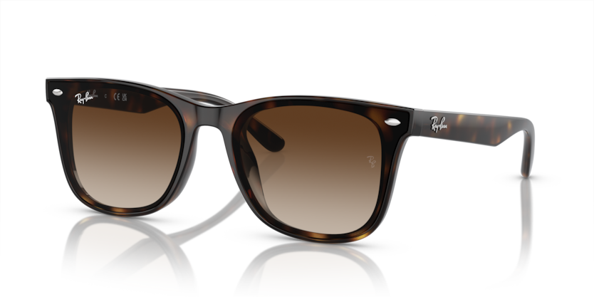 Ray-ban 4420 710/13 65-18 Güneş Gözlüğü