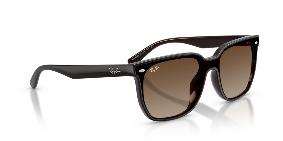 Ray-Ban 0RB4466D 714/13 3N Unisex Güneş Gözlüğü