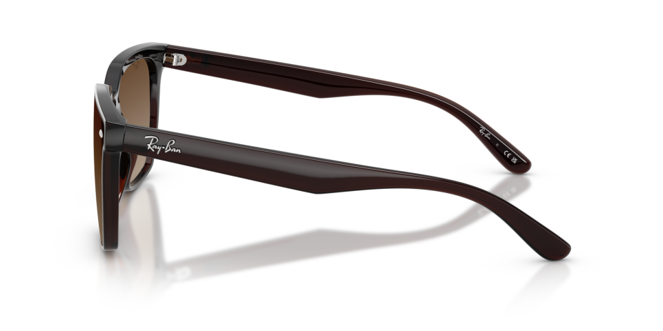 Ray-Ban 0RB4466D 714/13 3N Unisex Güneş Gözlüğü