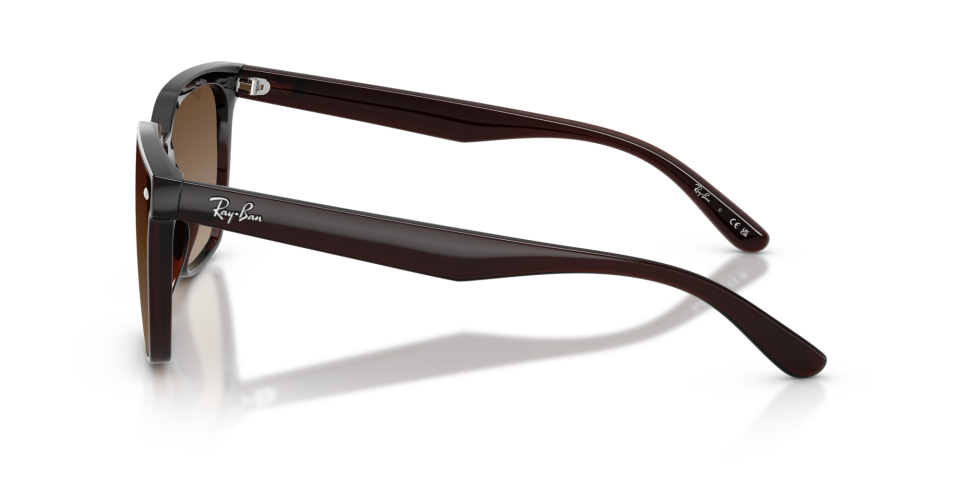 Ray-Ban 0RB4466D 714/13 3N Unisex Güneş Gözlüğü