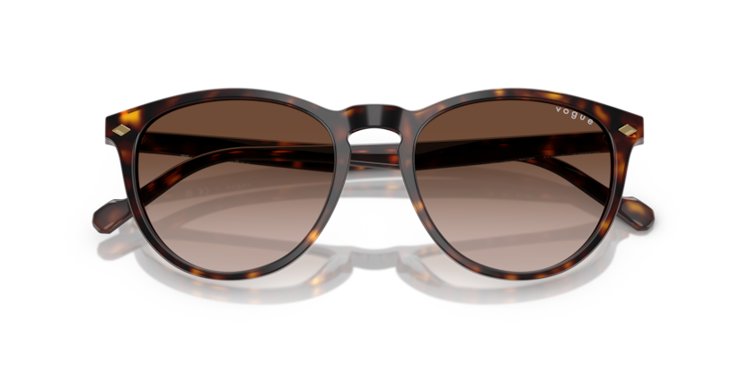 VOGUE Eyewear 5599S W65613 53-19 Unisex Güneş Gözlüğü