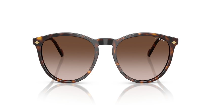 VOGUE Eyewear 5599S W65613 53-19 Unisex Güneş Gözlüğü