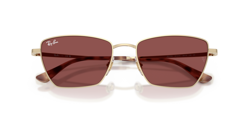 Ray-Ban 0RB3783 921375 53-18 Kadın Güneş Gözlüğü