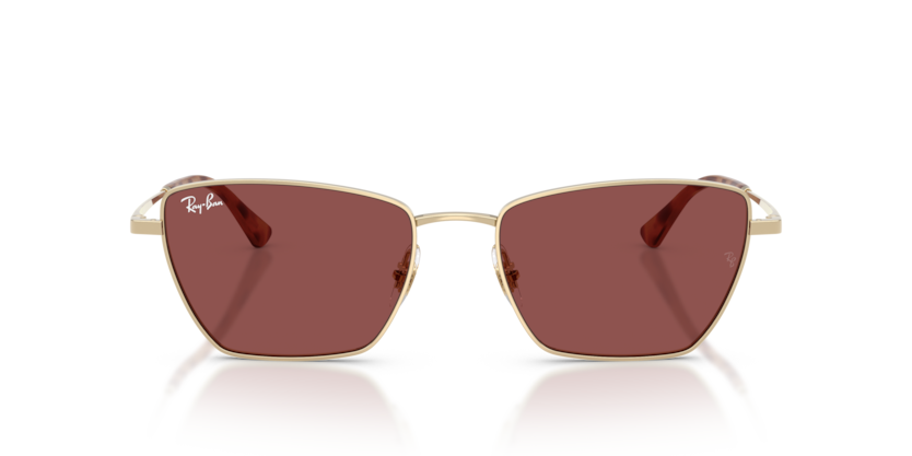 Ray-Ban 0RB3783 921375 53-18 Kadın Güneş Gözlüğü