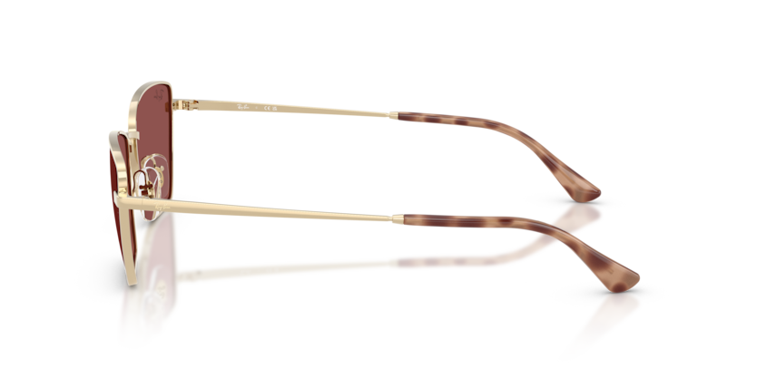 Ray-Ban 0RB3783 921375 53-18 Kadın Güneş Gözlüğü