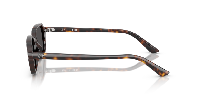 Ray-Ban 0RB4455 667771 52-19 Unisex Güneş Gözlüğü