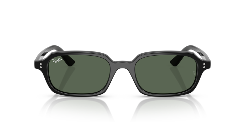 Ray-Ban 0RB4455 667771 52-19 Unisex Güneş Gözlüğü