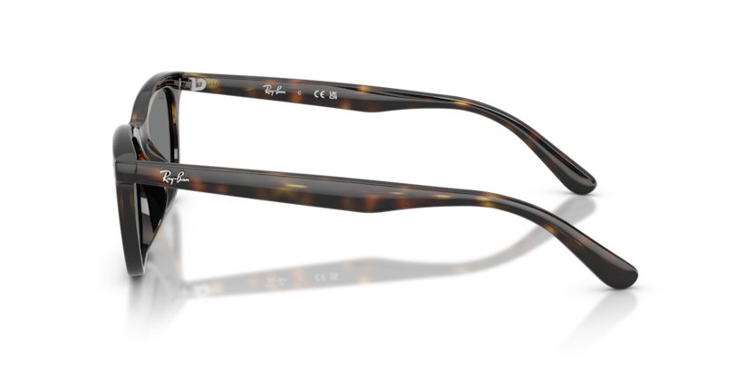 Ray-Ban 0RB4474D 710/87 54-18 Unisex Güneş Gözlüğü