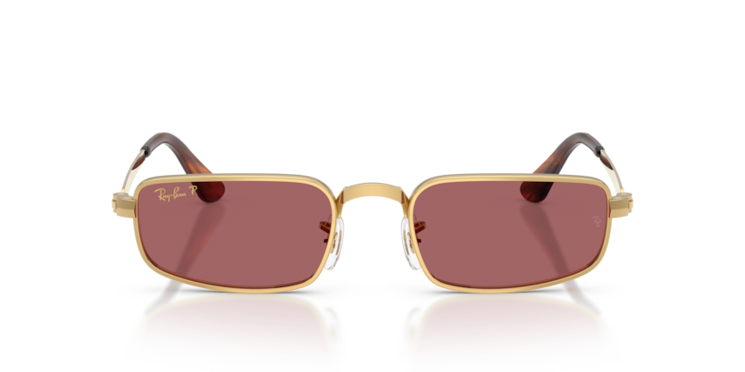 Ray-Ban RB3927 001/AF 54-21 Polarize Unisex Güneş Gözlüğü A$AP Rocky