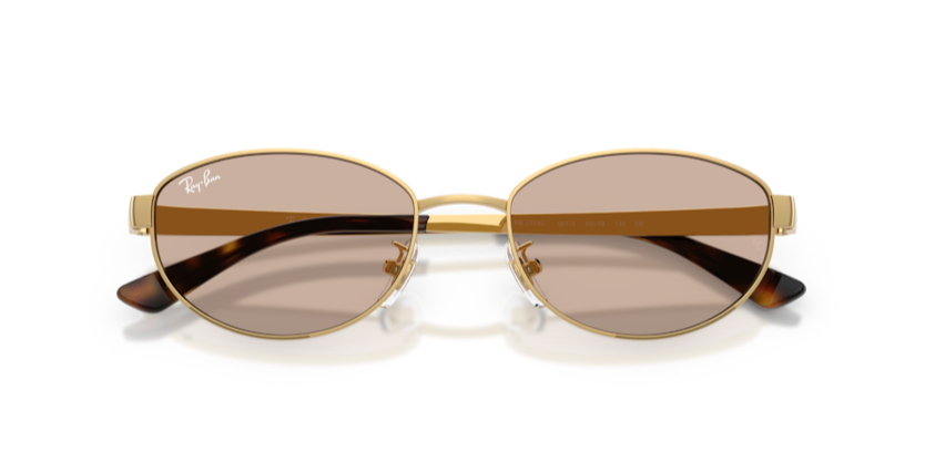 Ray-Ban RB3774D 001/3 55 Kadın Güneş Gözlüğü