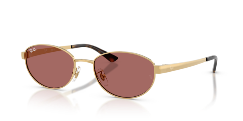 Ray-Ban RB3774D 001/69 55 Kadın Güneş Gözlüğü