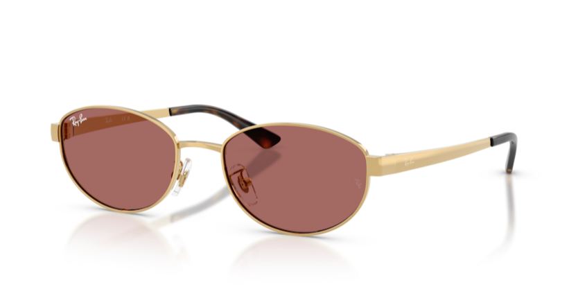 Ray-Ban RB3774D 001/69 55 Kadın Güneş Gözlüğü