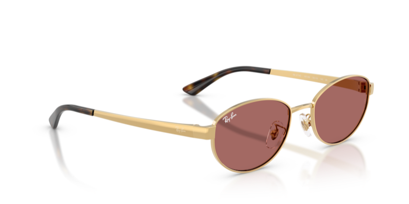 Ray-Ban RB3774D 001/69 55 Kadın Güneş Gözlüğü
