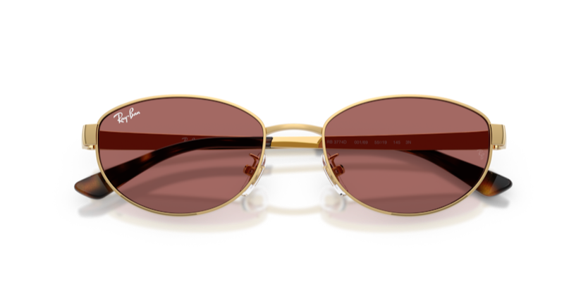 Ray-Ban RB3774D 001/69 55 Kadın Güneş Gözlüğü