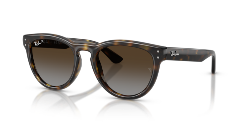 Ray-Ban RB2237 710/T5 51 Polarize Güneş Gözlüğü