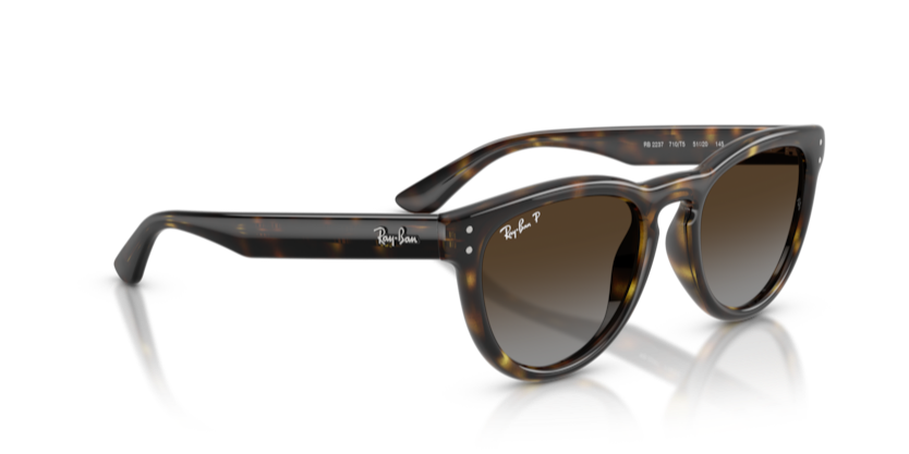 Ray-Ban RB2237 710/T5 51 Polarize Güneş Gözlüğü