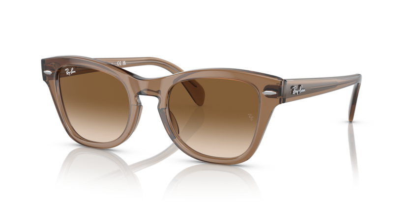 Ray-ban 0707S 664051 50-21 KADIN Güneş Gözlüğü