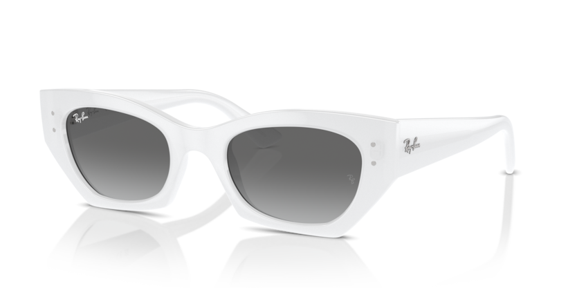 Ray-ban ZENA 4430 6759/11 49-22 Kadın Güneş Gözlüğü