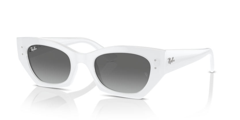 Ray-ban ZENA 4430 6759/11 49-22 Kadın Güneş Gözlüğü