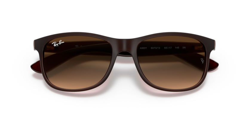 Ray-ban 4202 6073/13 55-17 ERKEK Güneş Gözlüğü