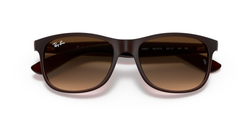 Ray-ban 4202 6073/13 55-17 ERKEK Güneş Gözlüğü