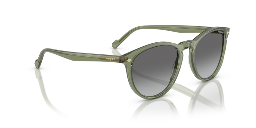 VOGUE 5599S 318711 53-19 Unisex Güneş Gözlüğü