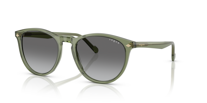 VOGUE 5599S 318711 53-19 Unisex Güneş Gözlüğü