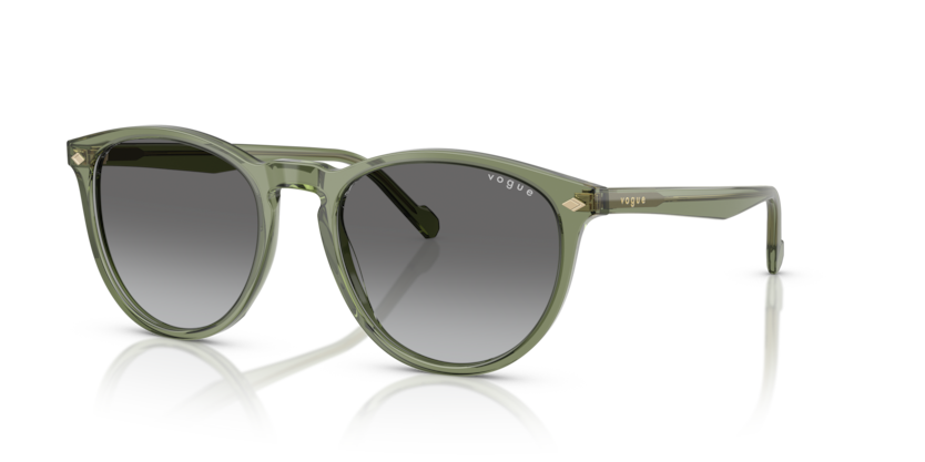 VOGUE 5599S 318711 53-19 Unisex Güneş Gözlüğü