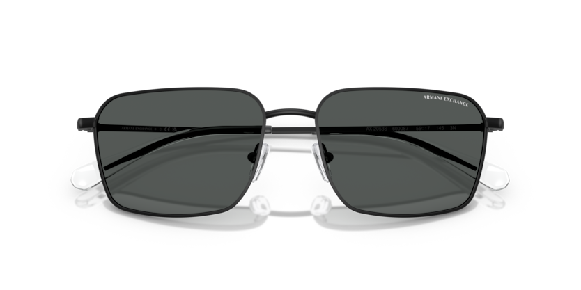 ARMANI EXCHANGE AX 2053S 6000/87 57-17 ERKEK Güneş Gözlüğü