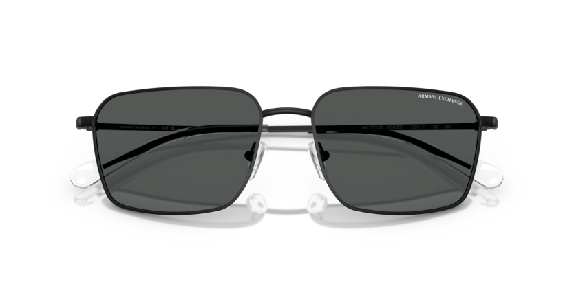 ARMANI EXCHANGE AX 2053S 6000/87 57-17 ERKEK Güneş Gözlüğü