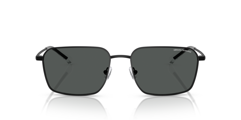 ARMANI EXCHANGE AX 2053S 6000/87 57-17 ERKEK Güneş Gözlüğü