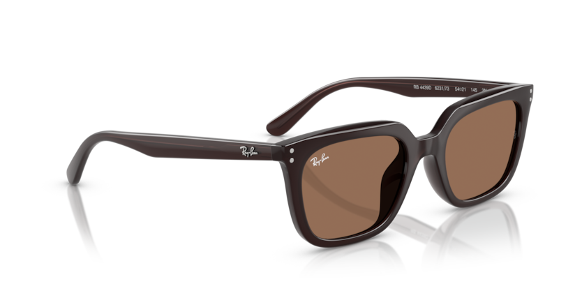 RAYBAN 4439D 6231/73 54-21 Kadın Güneş Gözlüğü