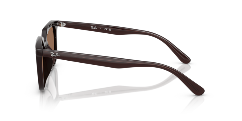 RAYBAN 4439D 6231/73 54-21 Kadın Güneş Gözlüğü