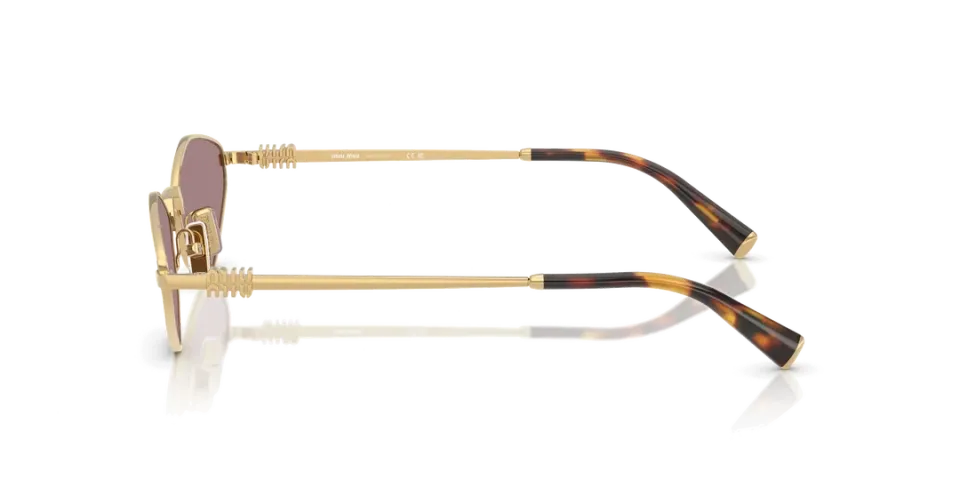 Miu Miu 56ZS 5AK20I 56-17 Kadın Güneş Gözlüğü