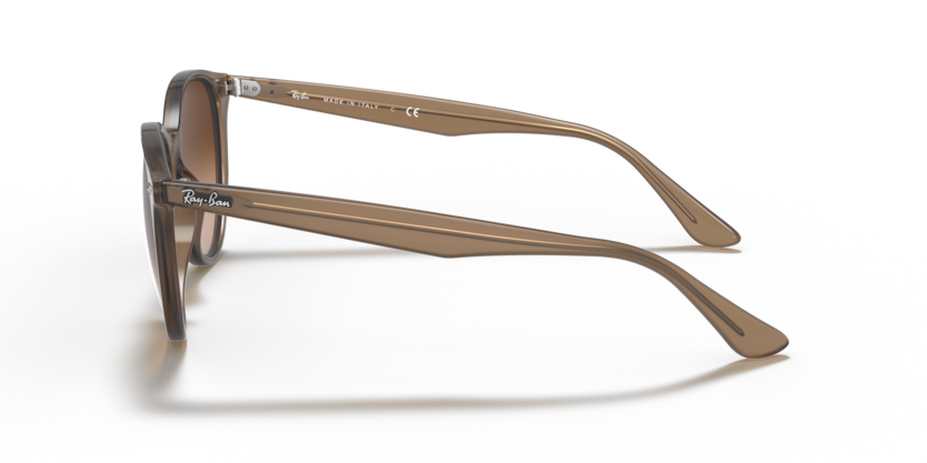 RAYBAN 0RB4305 6166/13 53-19 Unisex Güneş Gözlüğü