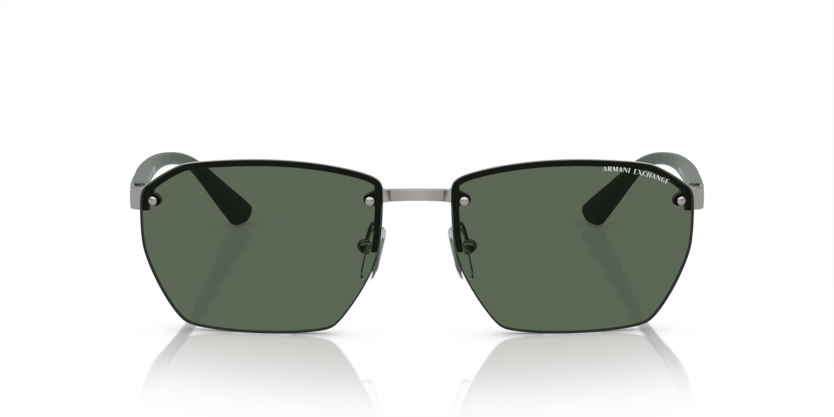 ARMANI EXCHANGE 0AX2048S 6003/71 59-16 Erkek Güneş Gözlüğü