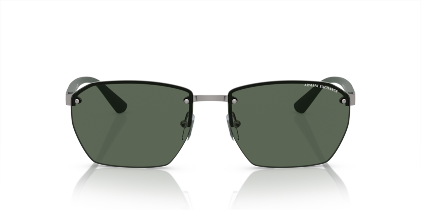 ARMANI EXCHANGE 0AX2048S 6003/71 59-16 Erkek Güneş Gözlüğü