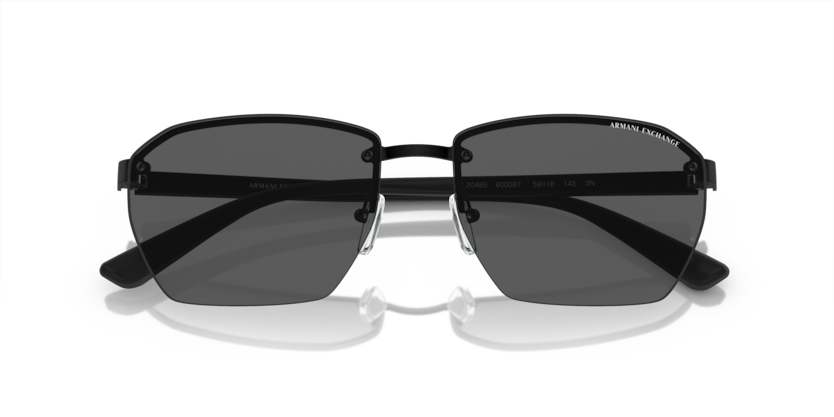 ARMANI EXCHANGE 0AX2048S 6000/87 59-16 Erkek Güneş Gözlüğü