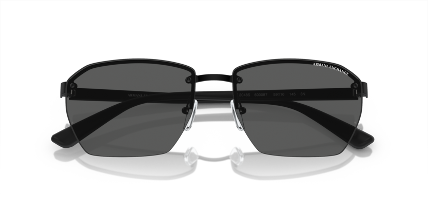 ARMANI EXCHANGE 0AX2048S 6000/87 59-16 Erkek Güneş Gözlüğü