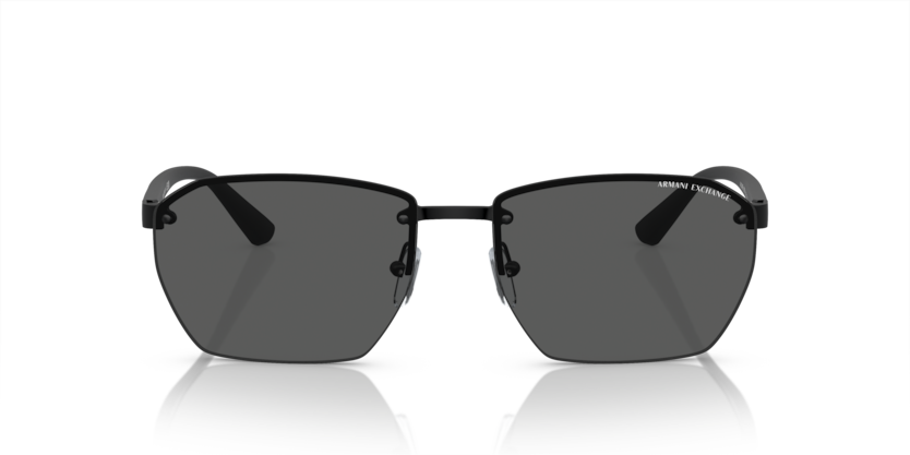 ARMANI EXCHANGE 0AX2048S 6000/87 59-16 Erkek Güneş Gözlüğü