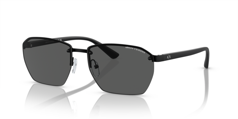 ARMANI EXCHANGE 0AX2048S 6000/87 59-16 Erkek Güneş Gözlüğü