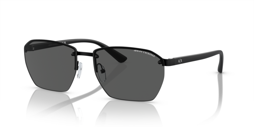 ARMANI EXCHANGE 0AX2048S 6000/87 59-16 Erkek Güneş Gözlüğü