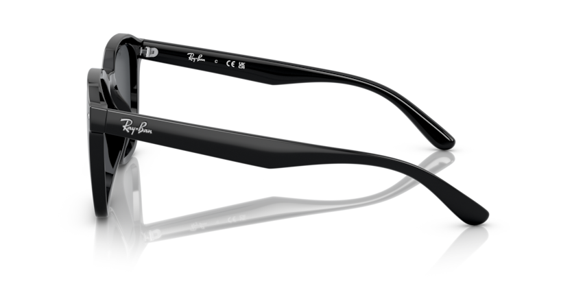 RAYBAN 0RB4392D 601/87 66-17 Unisex Güneş Gözlüğü