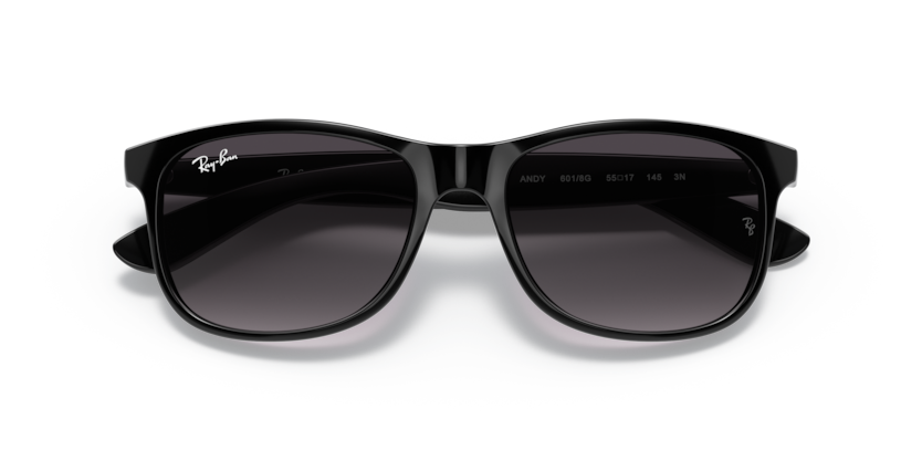 Ray-Ban 0RB4202 601/8G 55-17 Erkek Güneş Gözlüğü