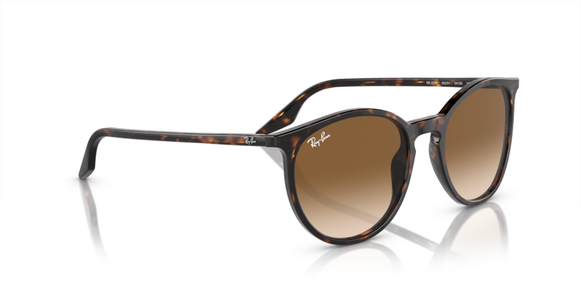 Ray-Ban 0RB2204 902/51 51-20 Unisex Güneş Gözlüğü