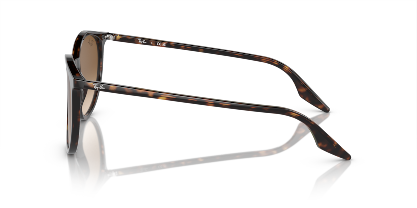 Ray-Ban 0RB2204 902/51 51-20 Unisex Güneş Gözlüğü