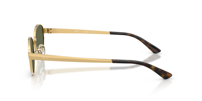 Ray-Ban 0RB3774D 001/9A 55-19 Polarize Unisex Güneş Gözlüğü